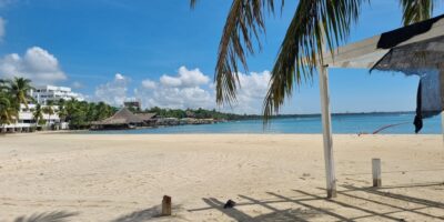 467503098_1111108224350645_5357383280417142709_n 467503098_1111108224350645_5357383280417142709_n