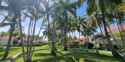 467556168_1111108591017275_8194250304325939465_n 467556168_1111108591017275_8194250304325939465_n