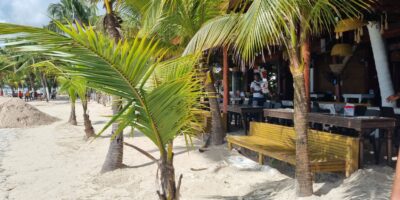 467842471_1111108364350631_6705074208999659720_n 467842471_1111108364350631_6705074208999659720_n